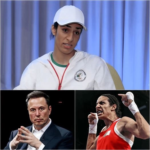 “You Have Been Cruel To Me, My Family And My Mother” Olympic Boxer Imane Khelif Breaks Down In Tears And Blasts Elon Musk After Gender Controversy At Paris Olympics.