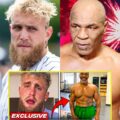 (VIDEO) 3 MINUTES AGO: Jake Paul REACTS To Mike Tyson’s NEW Training Footage!