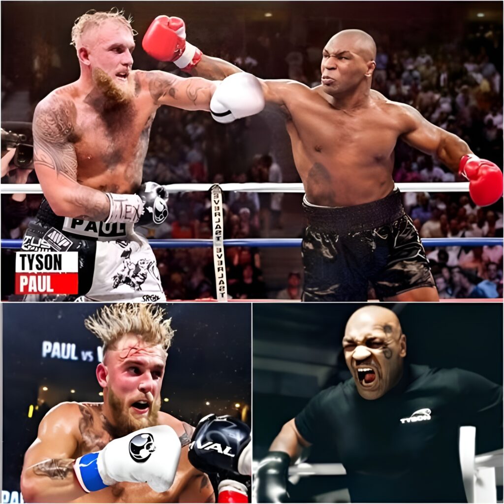 “shocking” Mike Tyson Fined $150 Million After Knockout Jake Paul In Training | m