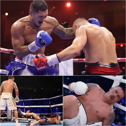 “CLASSICAL SHOCK” Jai Opetaia Defeated Oleksandr Usyk With A Controversial Knockout, Usyk Lost Up To 120 Million Usd