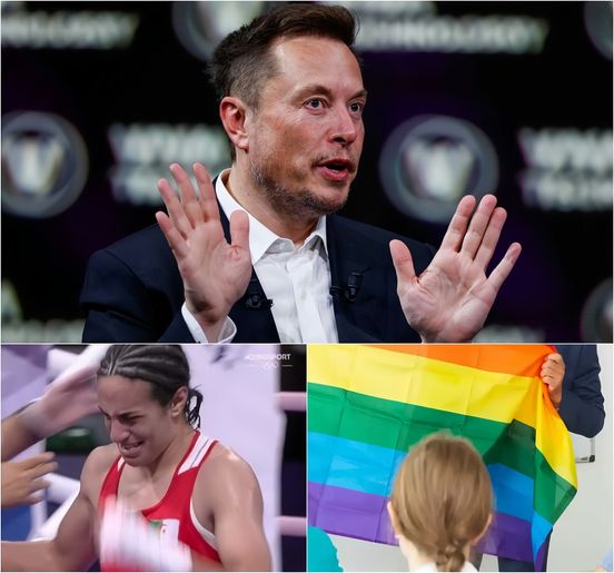 Elon Musk Declares: “Pride Flags Should Be Banned from Classrooms, Forever!” Following His Snub of Boxer Imane Khelif at the 2024 Olympics