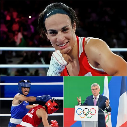 “THE SCANDAL CANNOT BE CONTINUED” Imane Khelif Unexpectedly Failed The Gender Test, Was Stripped Of All Titles, Banned For Life And The $25 Million Prize Money Was Revoked!