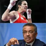 “HE CHEATED US” WBO Announces Imane Khelif Over Gender Testing Controversy, Revoking Her Olympic Gold Medal and $25 Million Prize