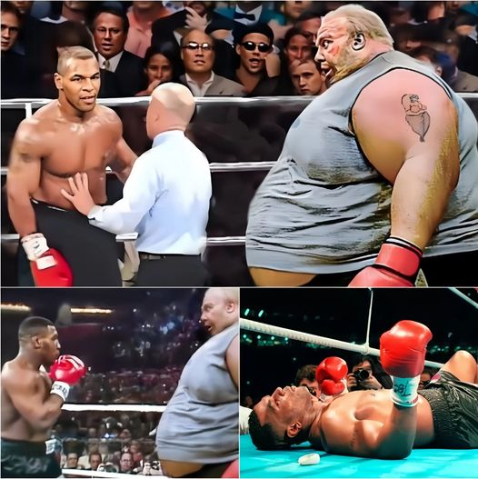 Dramatic Battle Between Mike Tyson And The Arrogant Fat Guy! Who Will Be The Winner In This Clash?