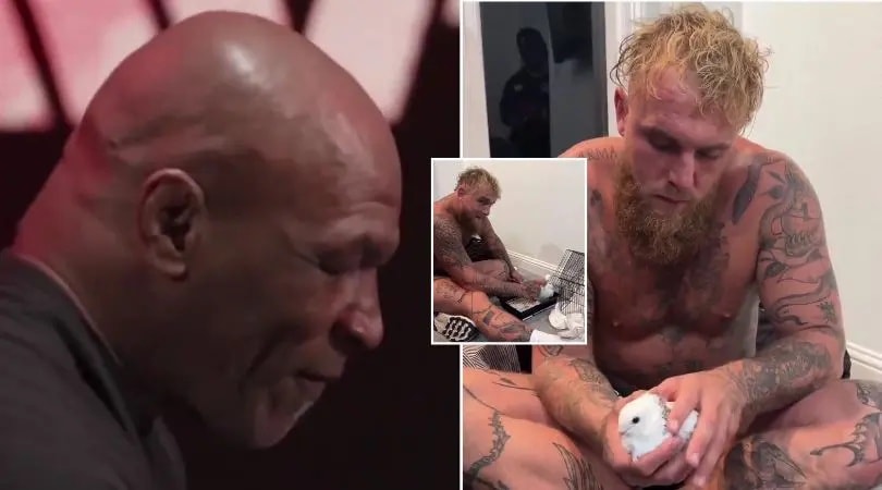 NEWS: 🚨 Jake Paul ‘rescued’ Mike Tyson gift after boxing icon’s savage response