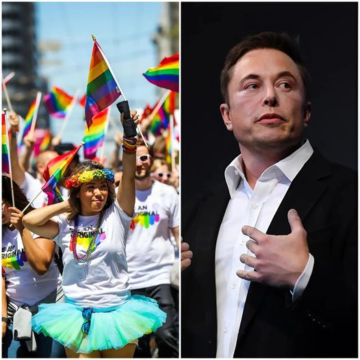 NEWS: Elon Musk Declares: “Pride Flags Should Be Banned from Classrooms, Permanently!” — A Controversial Statement That Ignites Heated Debate Over Inclusivity in Education!